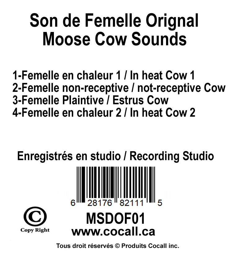 Moose Cow Card