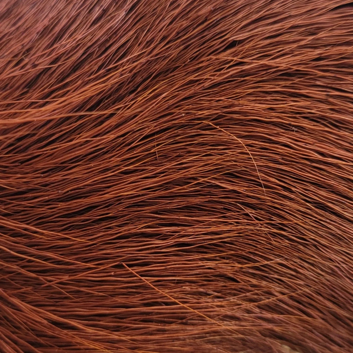 Shor Deer Body Dyed From White Brown 8 g