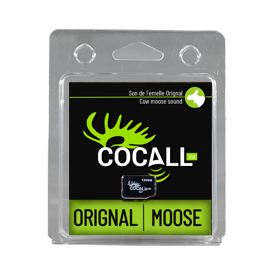 Cocall Moose Cow Sounds Card