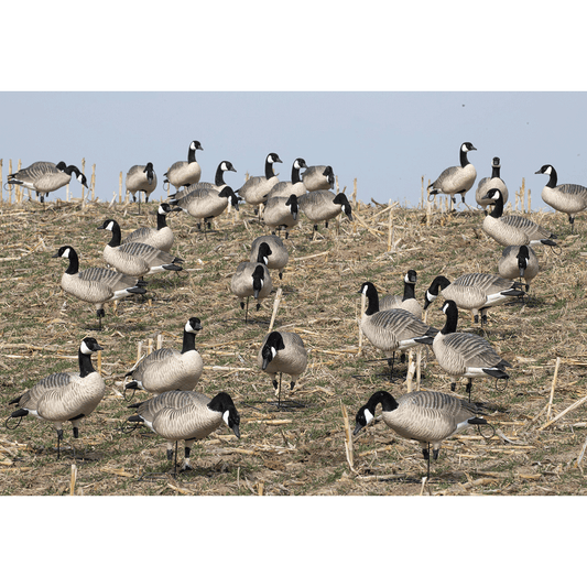 GHG Pro Grade Honker Feeders