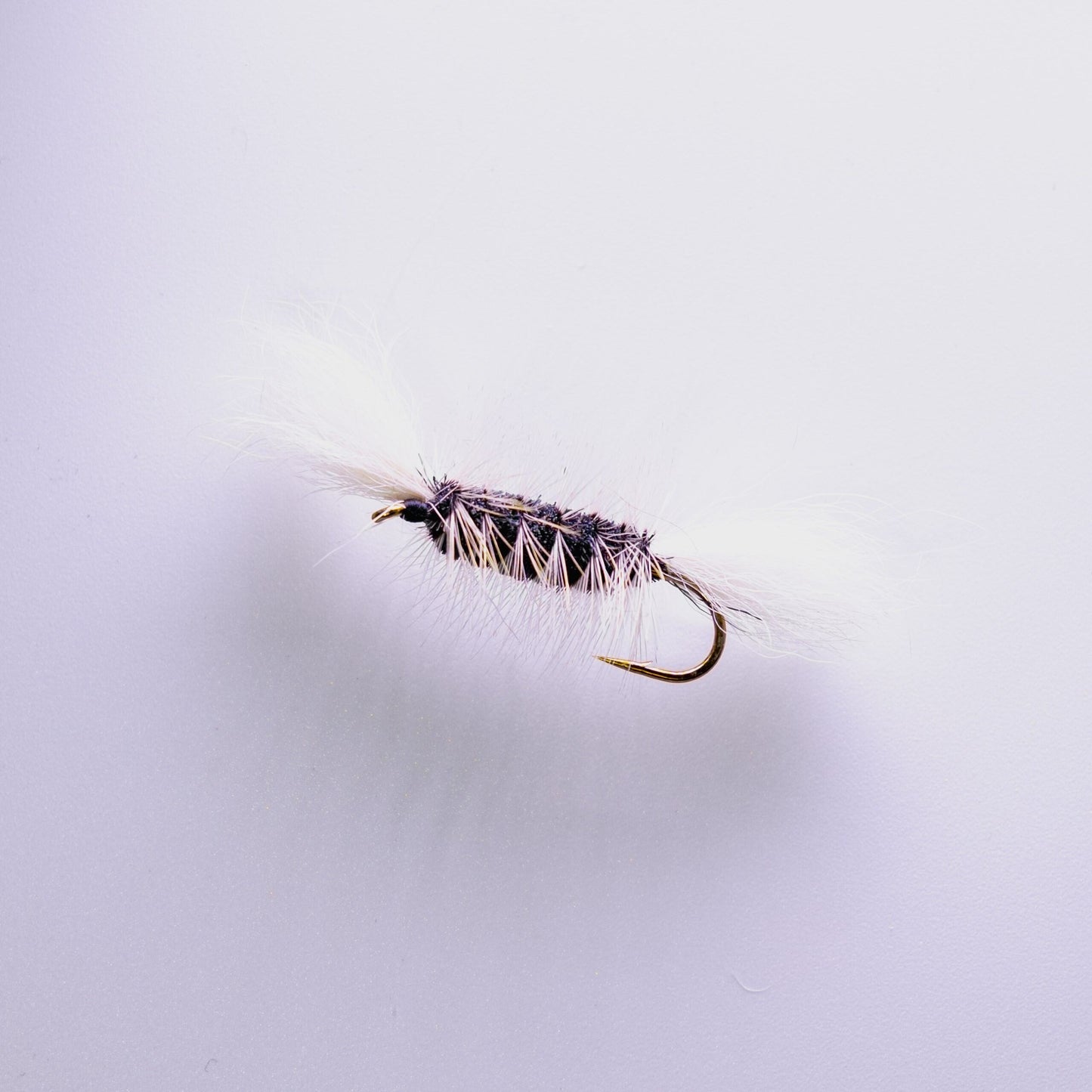 Dry Fly Black Body White Hackle Bomber #6