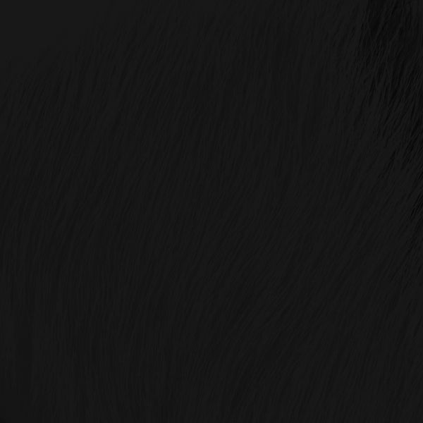Shor Calf Body Black