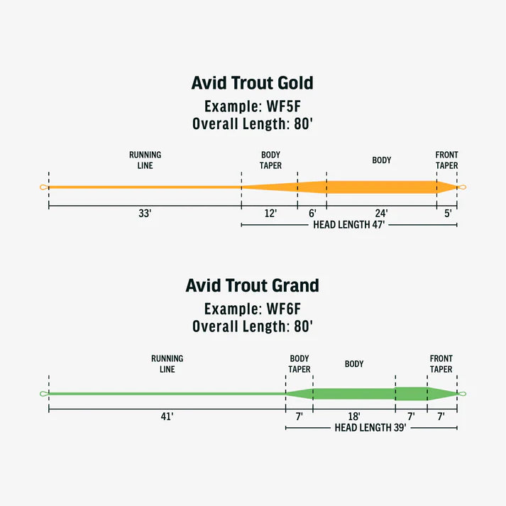 RIO Avid Series Trout Grand Pale Green WF8F