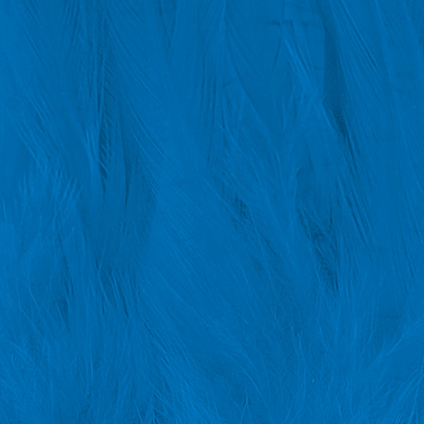 Shor Hackle 6" to 8" Doctor Blue