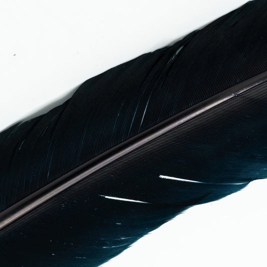 Shor Turkey Quill Black