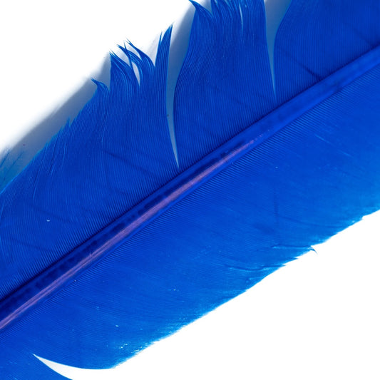 Shor Turkey Quill Royal Blue