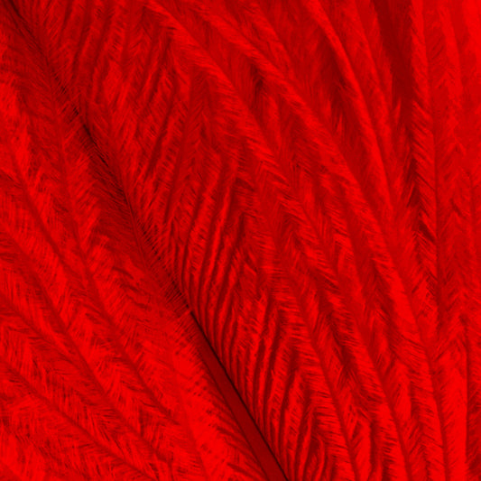 Shor Ostrich Herl Red