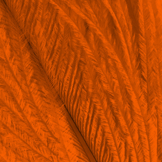 Shor Ostrich Herl Orange