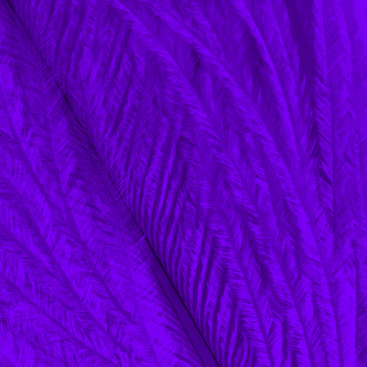 Shor Ostrich Herl Purple