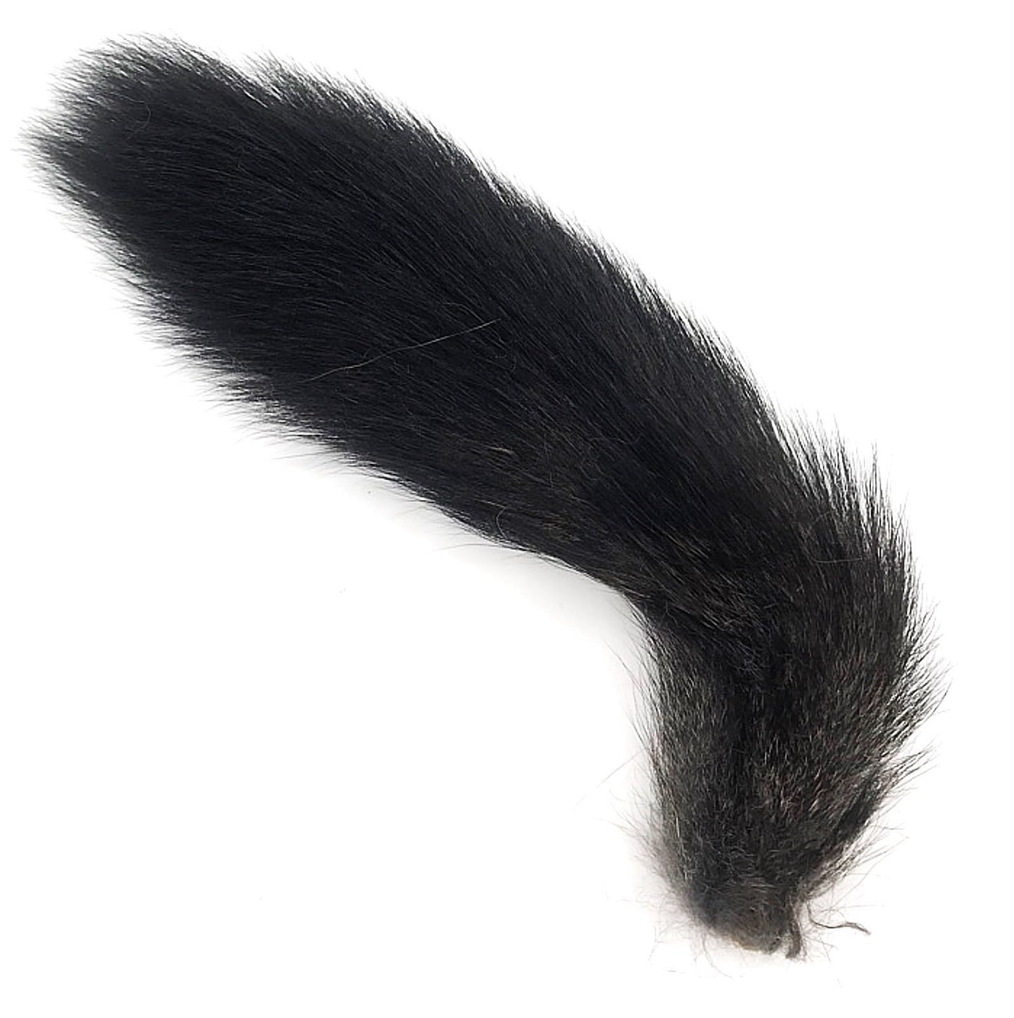 Squirrel Tail Black