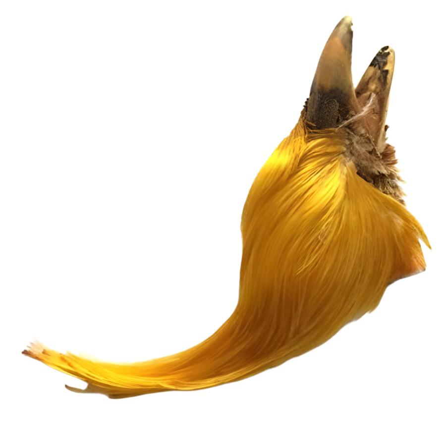 Golden Pheasent Crest