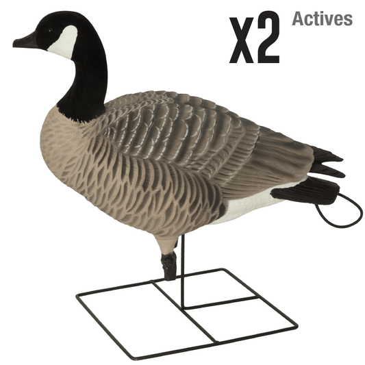GHG XD Series Full-Body Honkers Active 4-Pack