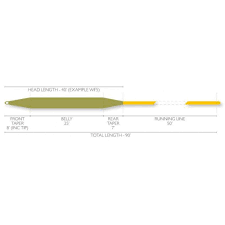 Airflo Forge Fly Line WF6 Green/Yellow