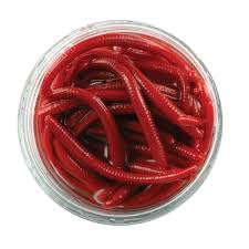 Berkley Gulp Red Nightcrawlers
