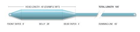 Airflo Cold Salt Fly Line WF9 Blue/Grey