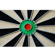 Winmau Pro SFB Dartboard