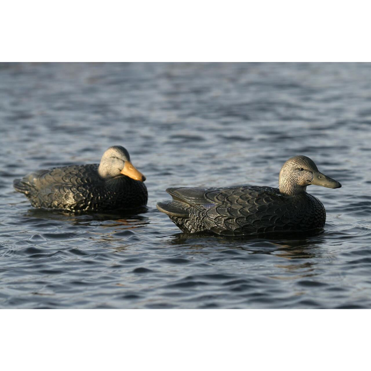 GHG Over Sized Black Duck Hunter Series 6-Pack