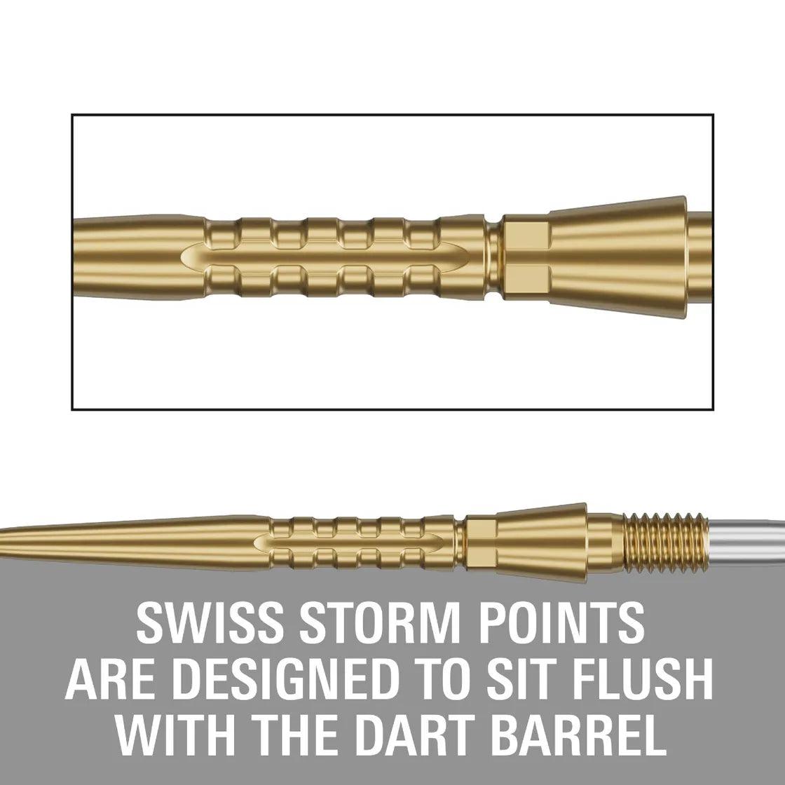 Target Darts Swiss Storm Surge Point Silver 35mm