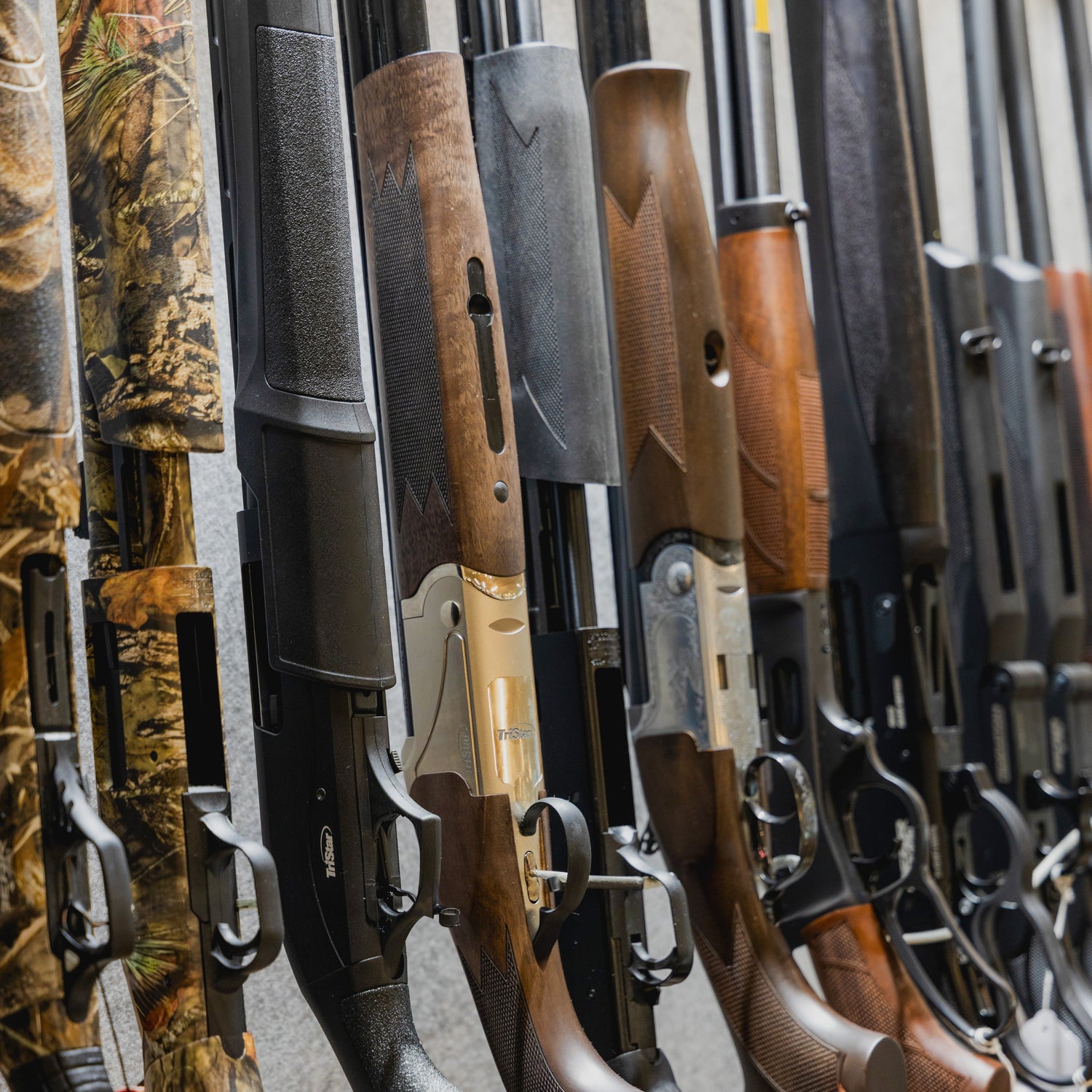 Firearms & Ammunition
