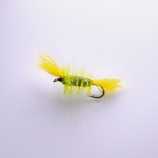 Dry Fly Gray Body Green Hackle Yellow Tail Bomber #6