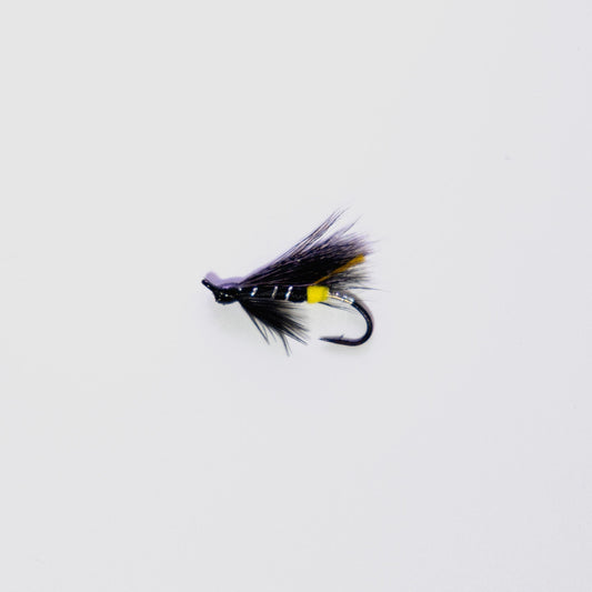Wet Fly Black Bear Fly #10