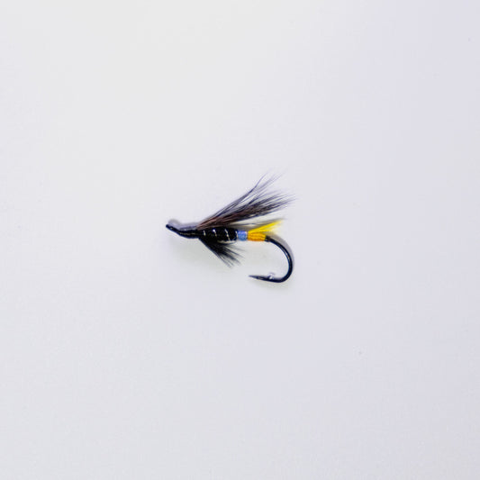 Wet Fly Black Dose #10