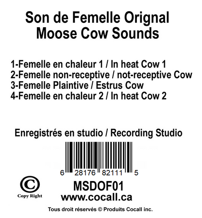 Moose Cow Card