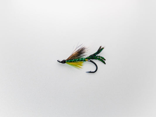 Wet Fly Roger's Fancy White Wing #6
