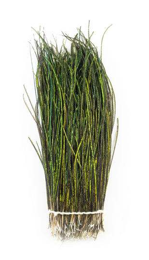 Shor Strung Peacock Herl