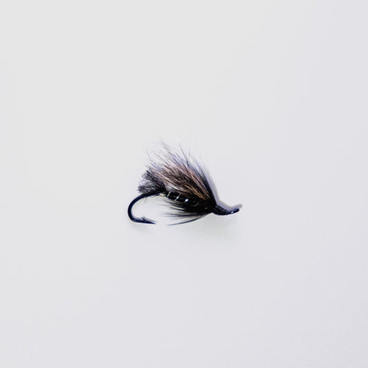 Wet Fly Black Cosseboom #6