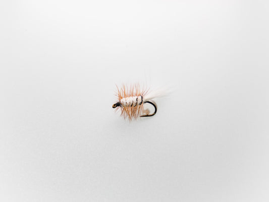 Dry Fly White Body Brown Hackle Bug #10