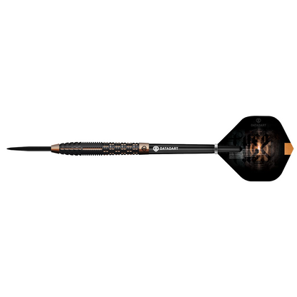 Datadart Aether Darts 25 g