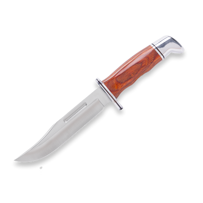 Buck 119 Special Knife with Leather Sheath DymaLux Cocobolo Heritage