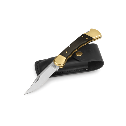 Buck 110 Folding Hunter Knife Ebony and Brass Finger Groove