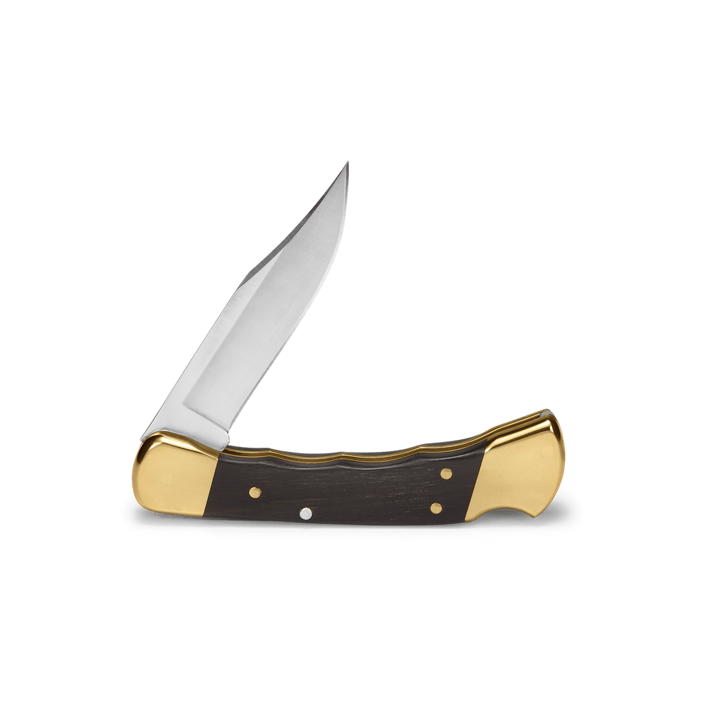 Buck 110 Folding Hunter Knife Ebony and Brass Finger Groove