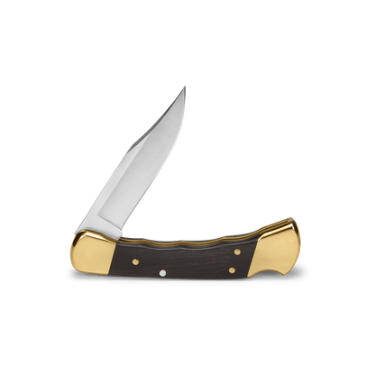 Buck 110 Folding Hunter Knife Ebony and Brass Finger Groove