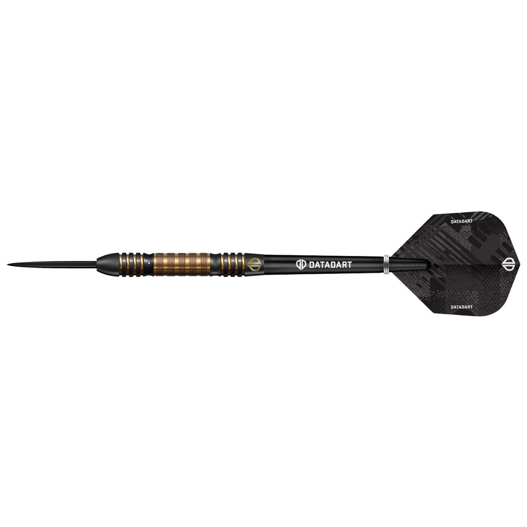 Datadart Ethereal Dart Set 22 g