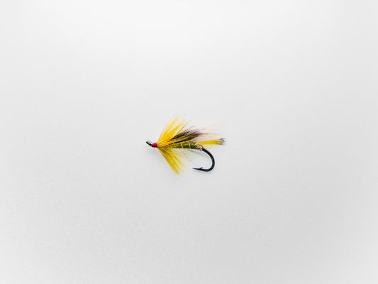Wet Fly Green Cosseboom White Wing #10