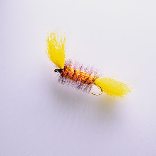 Dry Fly Orange Body Brown Hackle Bomber #6