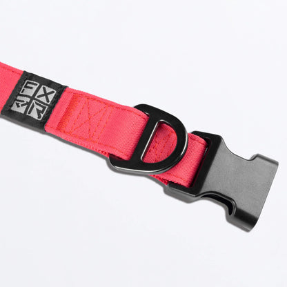 FXR Dog Collar Razz and Black Size L