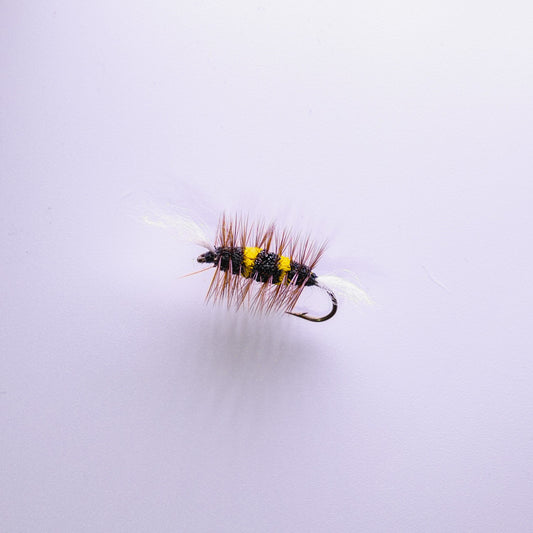Dry Fly Bumblebee Bomber #6