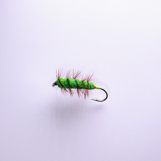 Dry Fly Green Machine Brown Hackle Bug #4