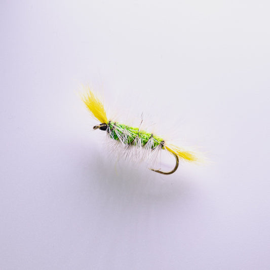 Dry Fly Green Body Gray Hackle Yellow Tail Bomber #6