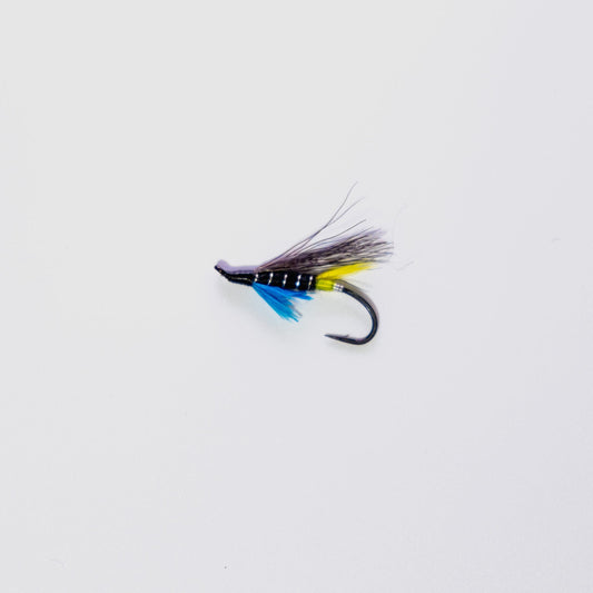 Wet Fly Blue Charm Yellow Butt #6