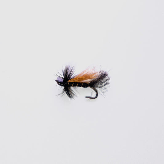 Wet Fly Black Cosseboom Brown Wing #8