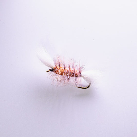 Dry Fly Pink Body Brown Hackle Bomber #6