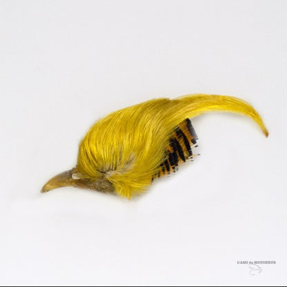 Golden Pheasent Crest