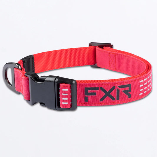 FXR Dog Collar Razz and Black Size L
