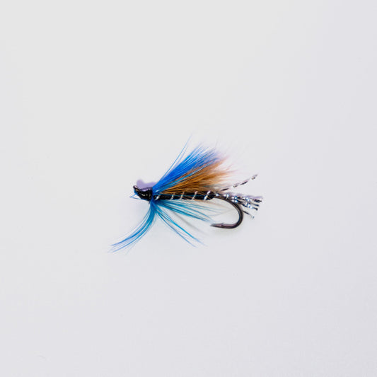 Wet Fly Black Cosseboom Brown Wing Blue Hackle #8