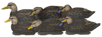 GHG Pro-Grade XD Series Black Duck Harvester 6-Pack